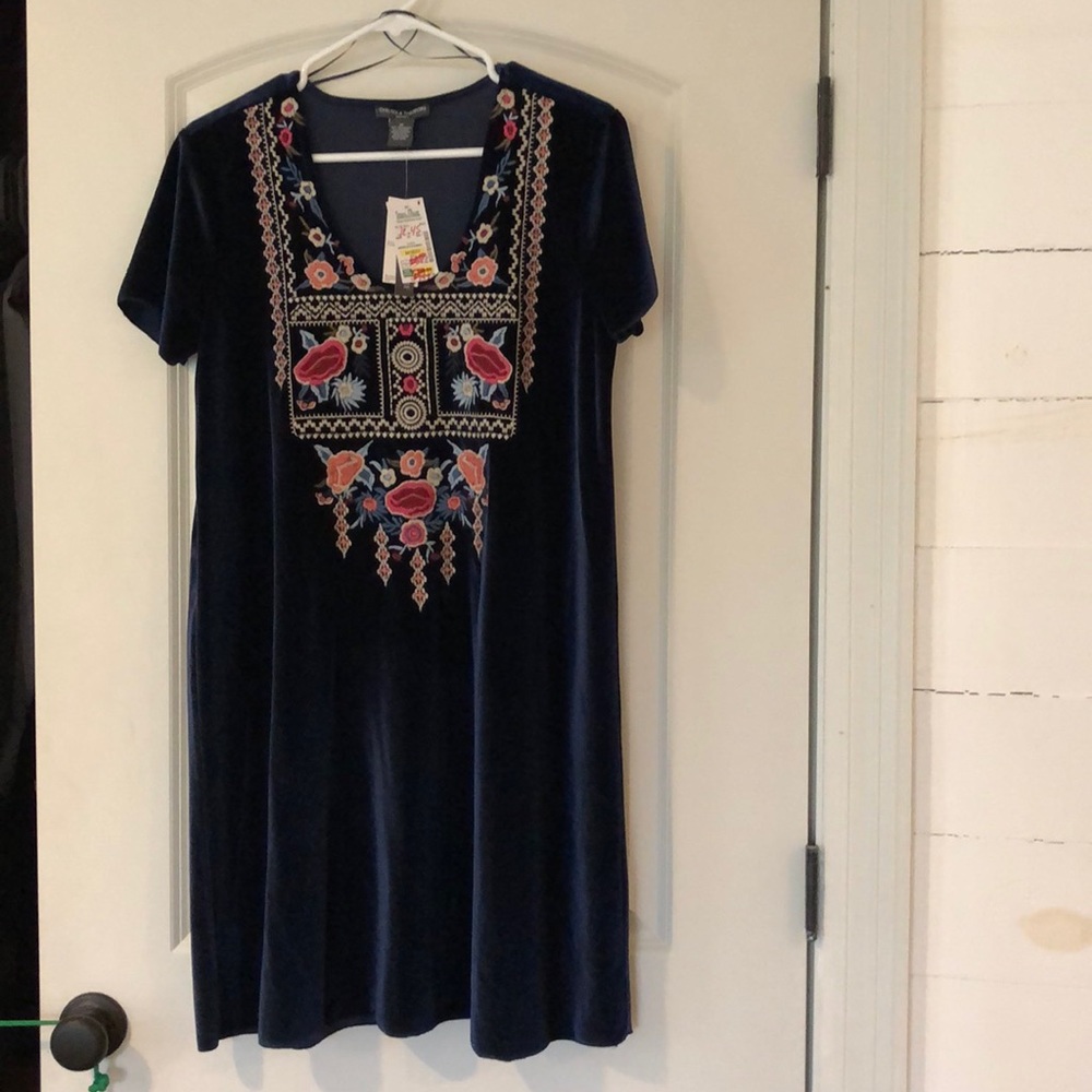 Velvet embroidered dress